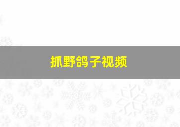 抓野鸽子视频