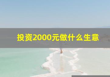 投资2000元做什么生意