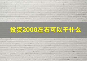 投资2000左右可以干什么