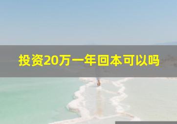 投资20万一年回本可以吗