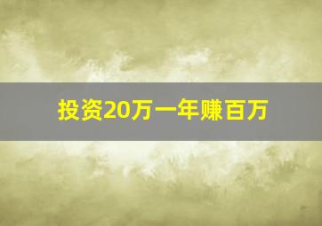 投资20万一年赚百万