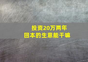 投资20万两年回本的生意能干嘛