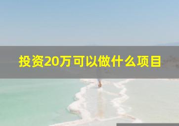 投资20万可以做什么项目