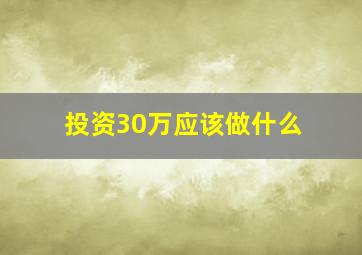 投资30万应该做什么