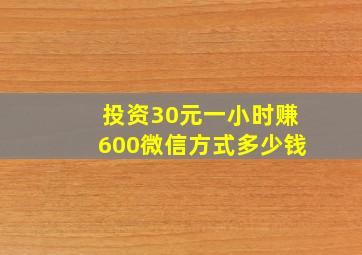 投资30元一小时赚600微信方式多少钱