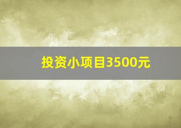 投资小项目3500元