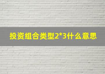 投资组合类型2*3什么意思