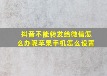 抖音不能转发给微信怎么办呢苹果手机怎么设置