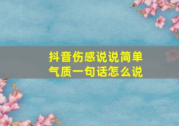 抖音伤感说说简单气质一句话怎么说