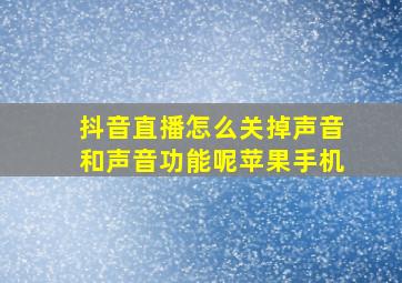 抖音直播怎么关掉声音和声音功能呢苹果手机