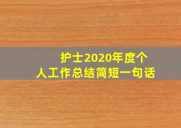 护士2020年度个人工作总结简短一句话