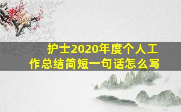 护士2020年度个人工作总结简短一句话怎么写