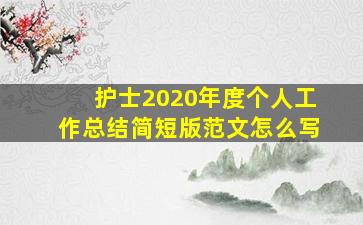 护士2020年度个人工作总结简短版范文怎么写