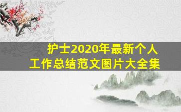 护士2020年最新个人工作总结范文图片大全集