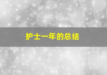 护士一年的总结