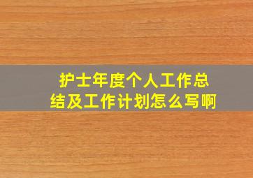 护士年度个人工作总结及工作计划怎么写啊