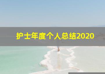 护士年度个人总结2020