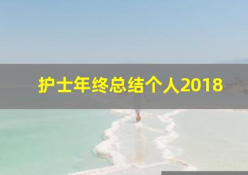 护士年终总结个人2018