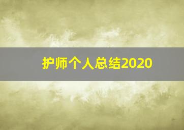 护师个人总结2020