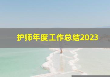 护师年度工作总结2023