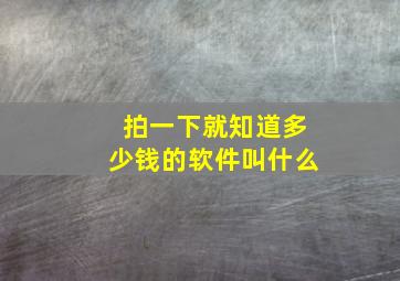 拍一下就知道多少钱的软件叫什么