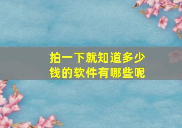 拍一下就知道多少钱的软件有哪些呢