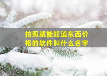 拍照就能知道东西价格的软件叫什么名字