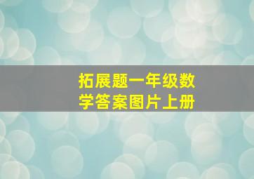 拓展题一年级数学答案图片上册