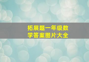 拓展题一年级数学答案图片大全