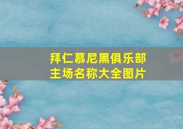 拜仁慕尼黑俱乐部主场名称大全图片