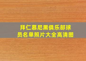 拜仁慕尼黑俱乐部球员名单照片大全高清图