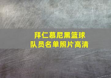 拜仁慕尼黑篮球队员名单照片高清