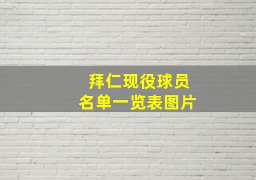 拜仁现役球员名单一览表图片