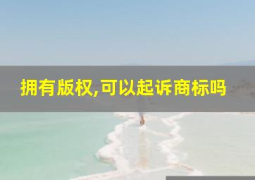 拥有版权,可以起诉商标吗