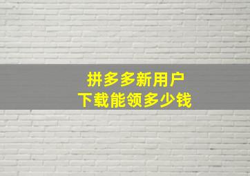 拼多多新用户下载能领多少钱