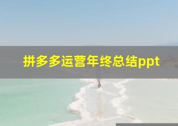 拼多多运营年终总结ppt