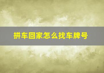 拼车回家怎么找车牌号