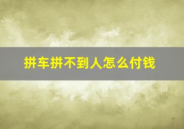 拼车拼不到人怎么付钱