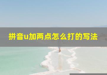 拼音u加两点怎么打的写法