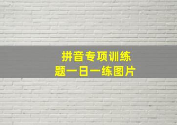 拼音专项训练题一日一练图片