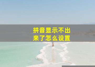 拼音显示不出来了怎么设置