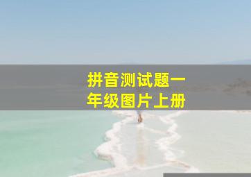 拼音测试题一年级图片上册