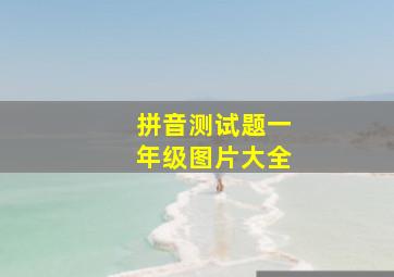 拼音测试题一年级图片大全