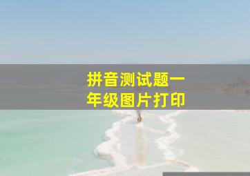 拼音测试题一年级图片打印