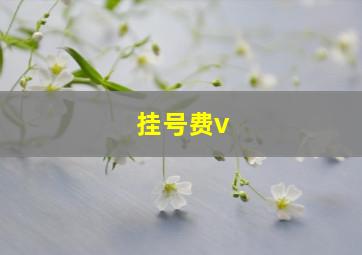 挂号费v