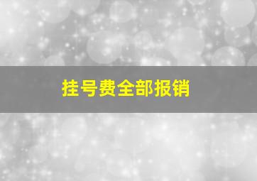 挂号费全部报销