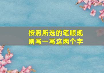 按照所选的笔顺规则写一写这两个字