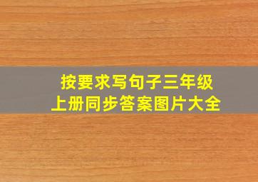 按要求写句子三年级上册同步答案图片大全