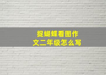 捉蝴蝶看图作文二年级怎么写