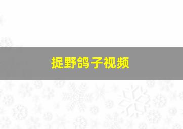 捉野鸽子视频